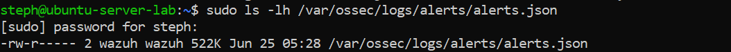 Wazuh alerts.json file